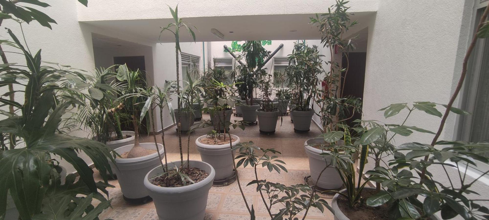 Hotel Habana Мексико Сити Екстериор снимка